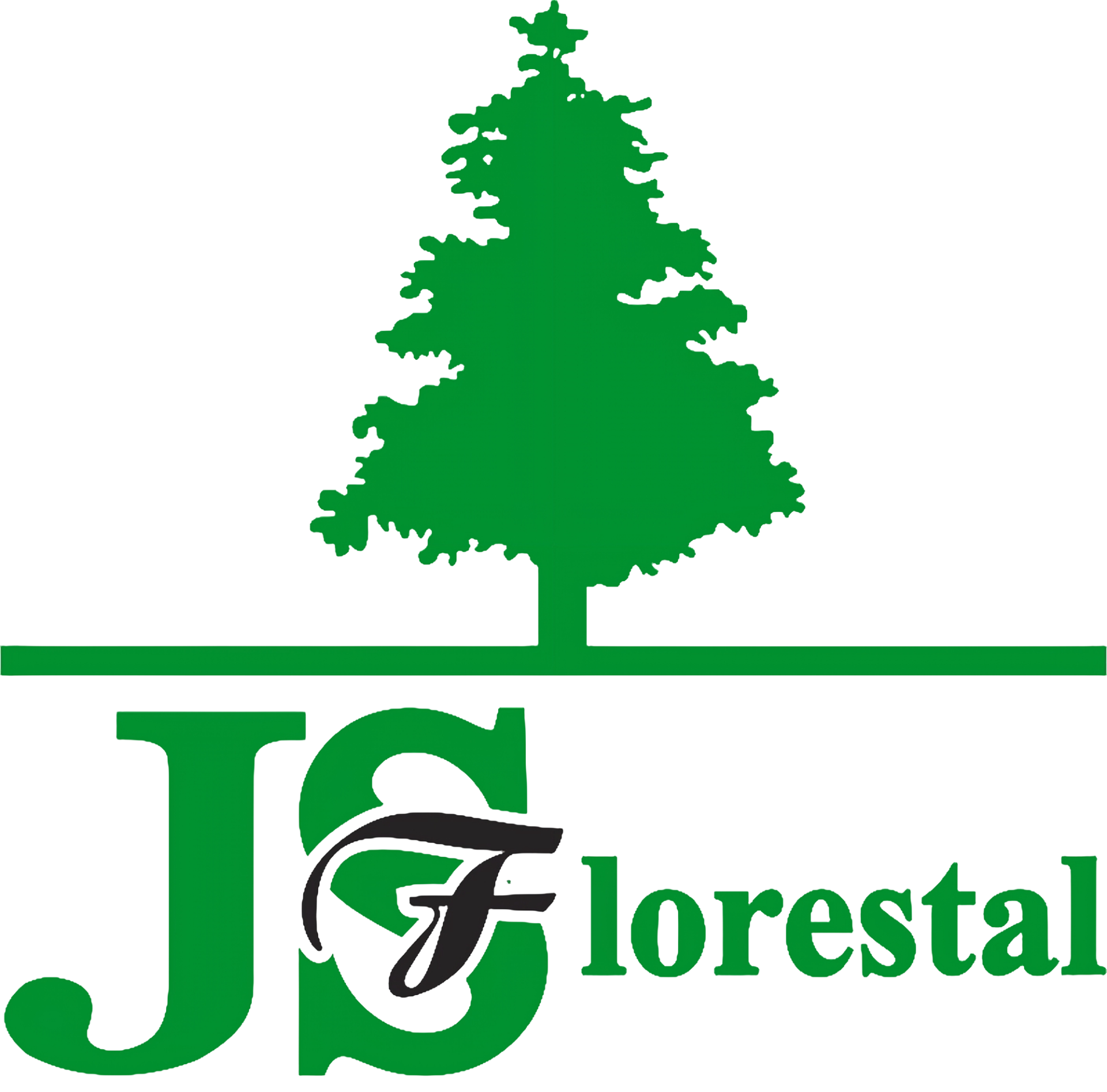 JS